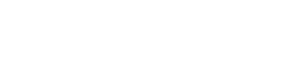 Die Umzugshelden Hessen